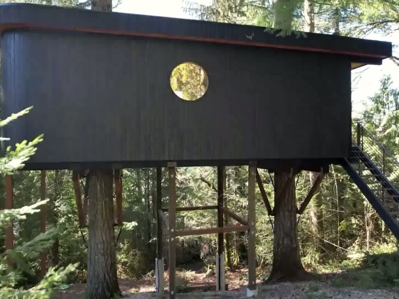 This Artist’s Treehouse Is Changing How We See Tiny Homes