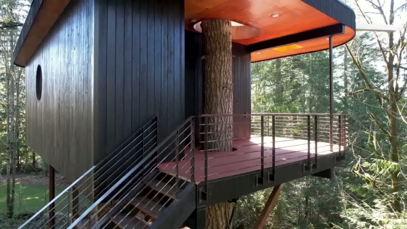 This Artist’s Treehouse Is Changing How We See Tiny Homes