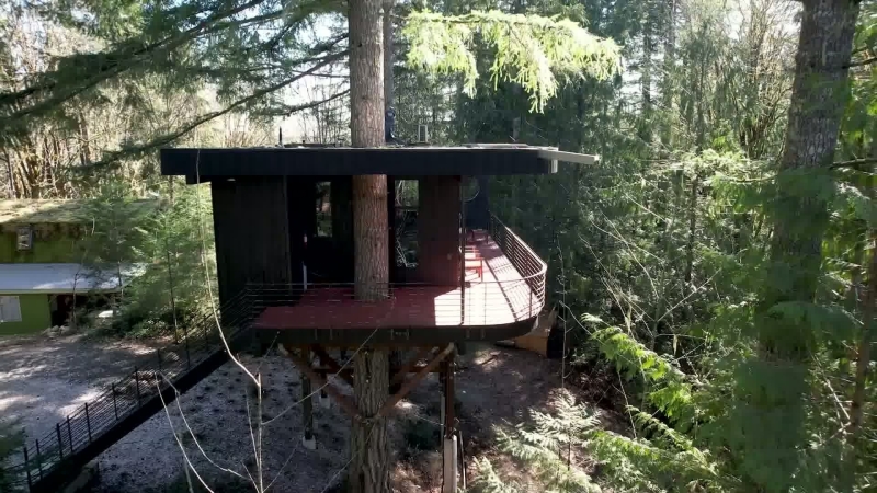 This Artist’s Treehouse Is Changing How We See Tiny Homes