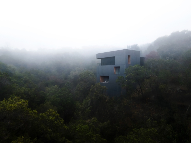 This Elevated Home Proves That Steep Sites Can Be Beautiful Ones