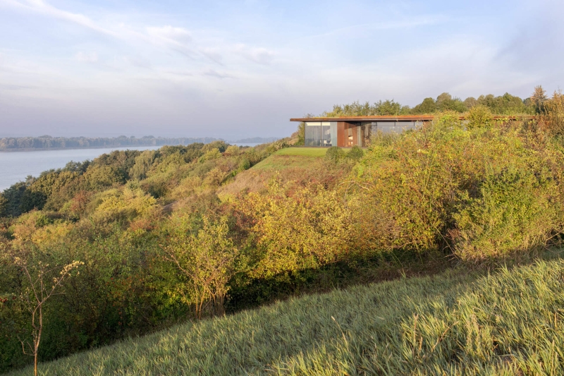 This Home’s Roof Is a Garden, and That’s Just the Beginning
