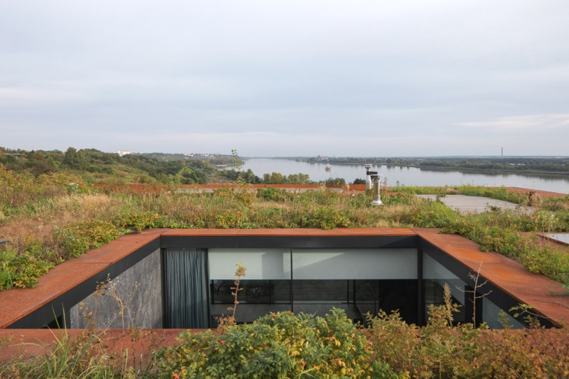 This Home’s Roof Is a Garden, and That’s Just the Beginning