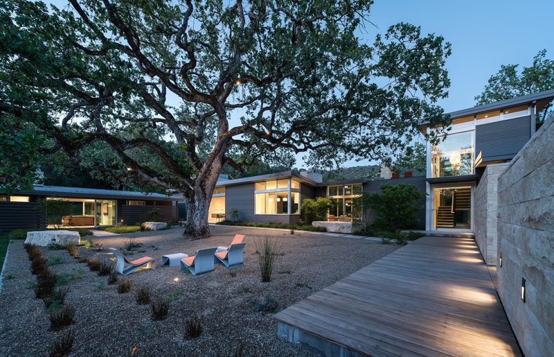 A Century-Old Tree Shapes the Design of This California Hideaway