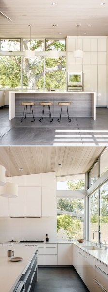 A Century-Old Tree Shapes the Design of This California Hideaway