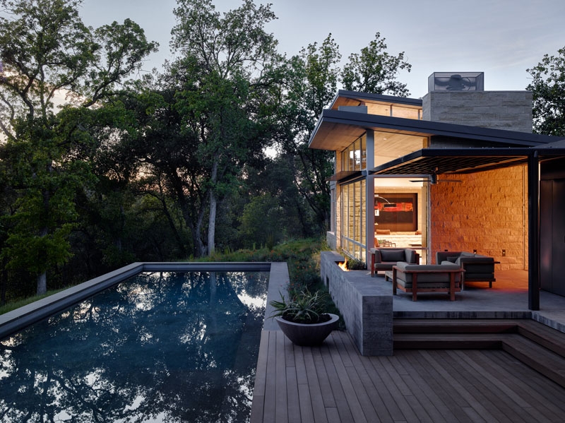 A Century-Old Tree Shapes the Design of This California Hideaway