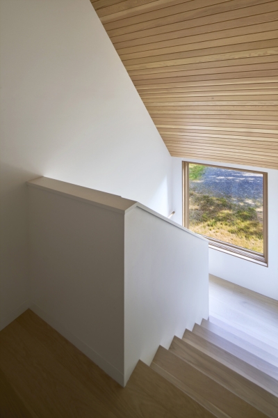This Forest Cabin Feels Like a Hidden Hideaway
