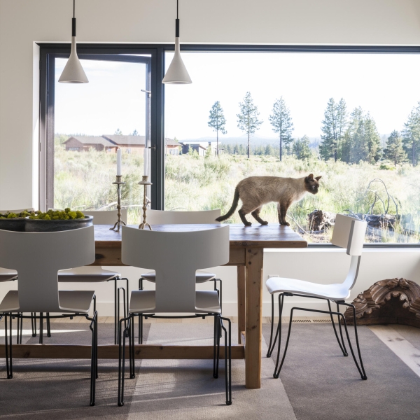 This modern home glows from within as night falls