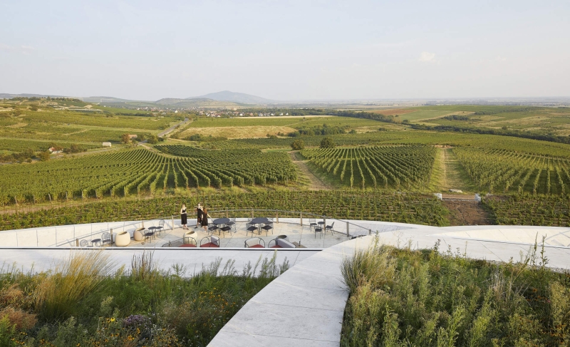 This Winery is a Stunning Blend of Architecture and Vineyards