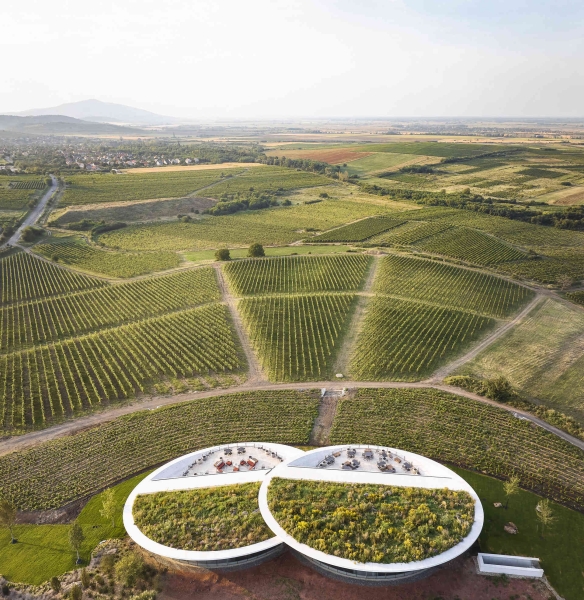 This Winery is a Stunning Blend of Architecture and Vineyards