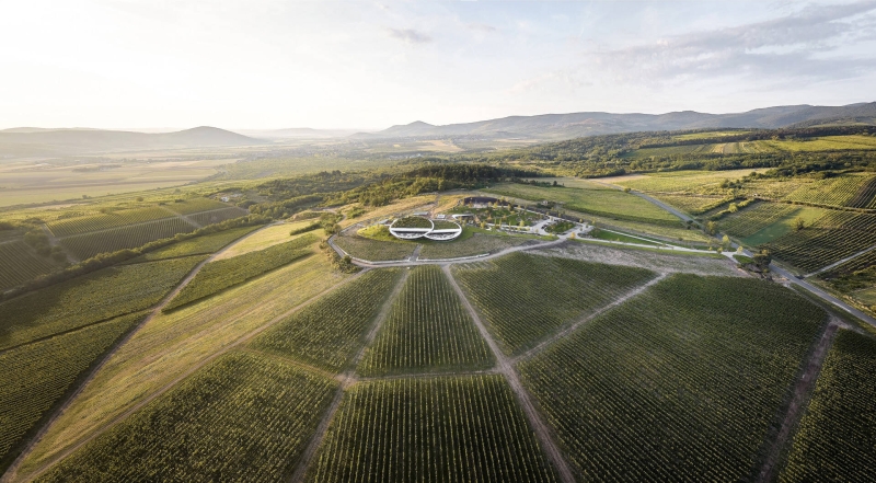 This Winery is a Stunning Blend of Architecture and Vineyards