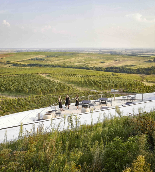 This Winery is a Stunning Blend of Architecture and Vineyards