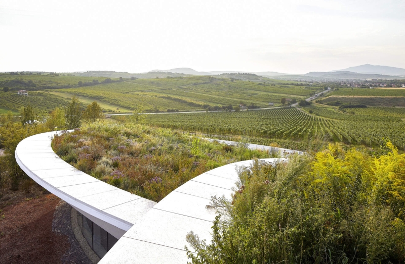 This Winery is a Stunning Blend of Architecture and Vineyards