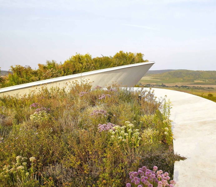 This Winery is a Stunning Blend of Architecture and Vineyards
