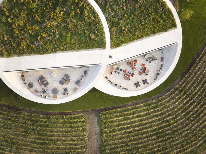 This Winery is a Stunning Blend of Architecture and Vineyards