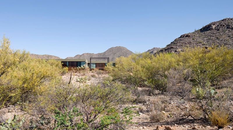 What if the desert was the most beautiful place to live?