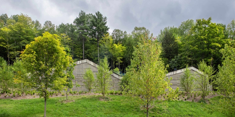 A House Built From Reclaimed Fence Wood: How Weathered Boards Create Instant Character