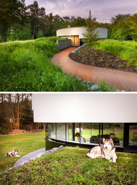 Inside a Small Circular Home That Embraces Life With Two Dogs