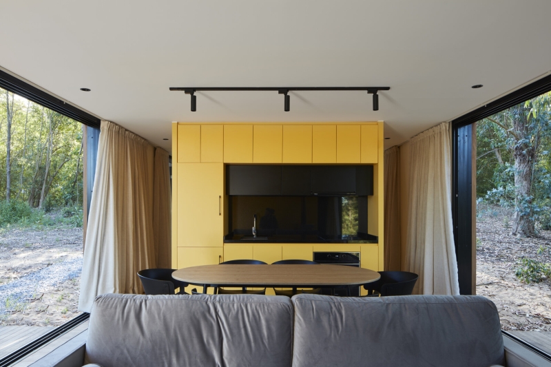 Inside a Small Forest Home that blends Mid-Century Style with Nature