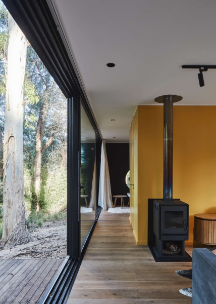 Inside a Small Forest Home that blends Mid-Century Style with Nature