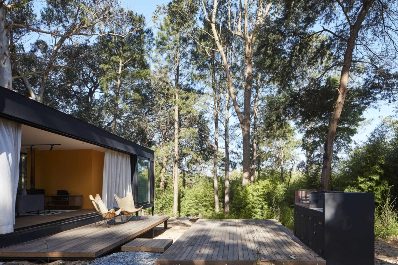 Inside a Small Forest Home that blends Mid-Century Style with Nature