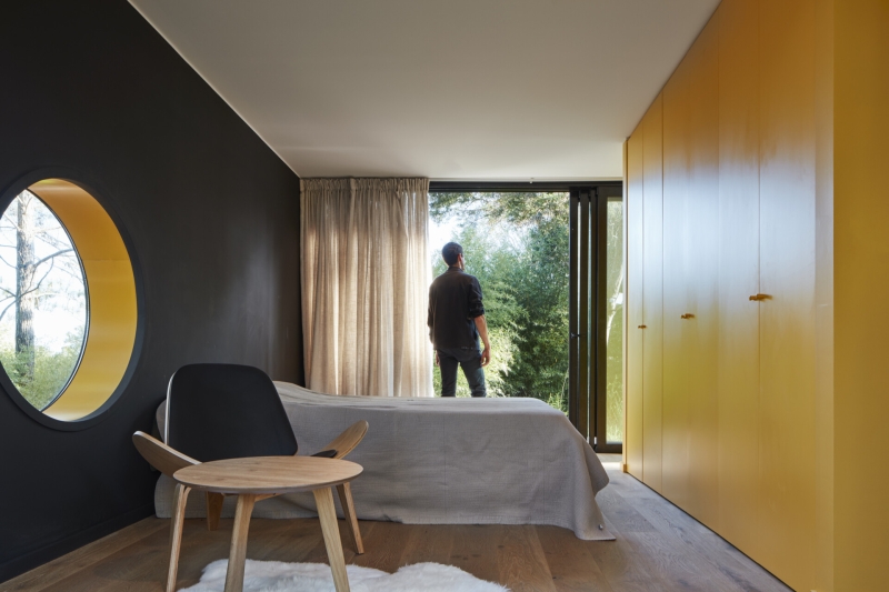 Inside a Small Forest Home that blends Mid-Century Style with Nature