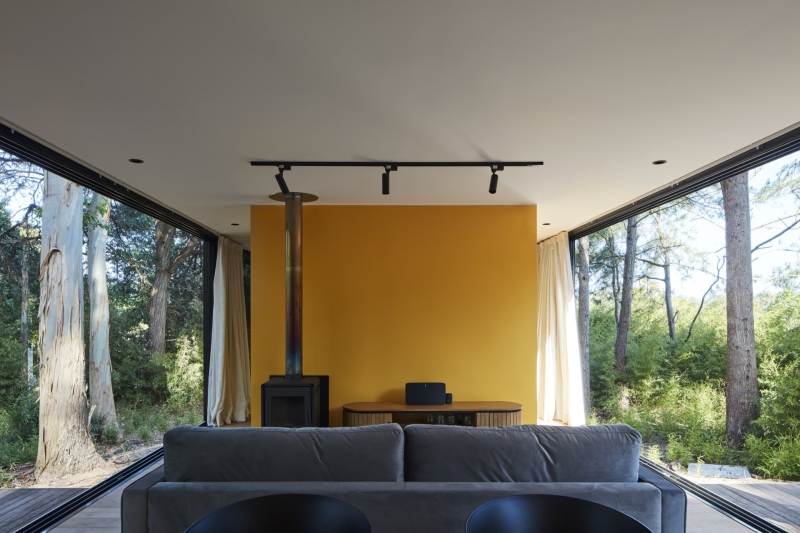 Inside a Small Forest Home that blends Mid-Century Style with Nature