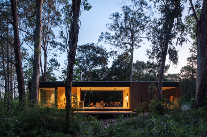 Inside a Small Forest Home that blends Mid-Century Style with Nature
