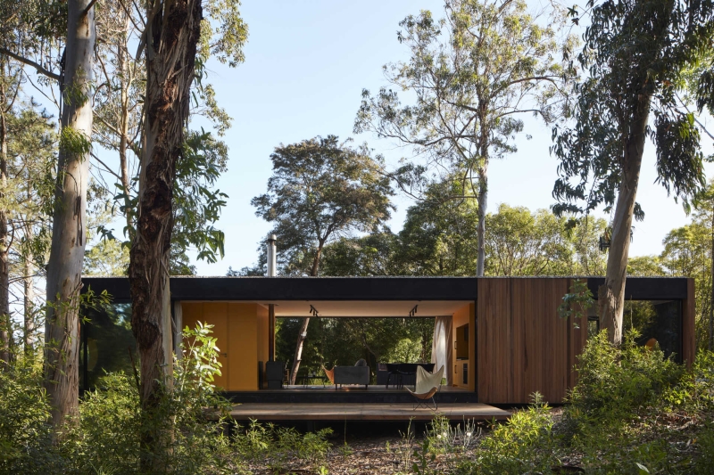 Inside a Small Forest Home that blends Mid-Century Style with Nature