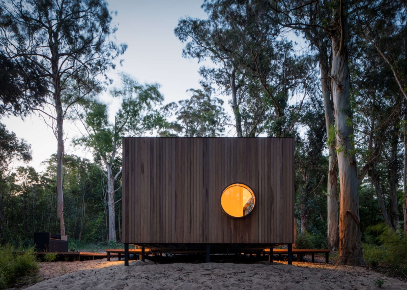 Inside a Small Forest Home that blends Mid-Century Style with Nature