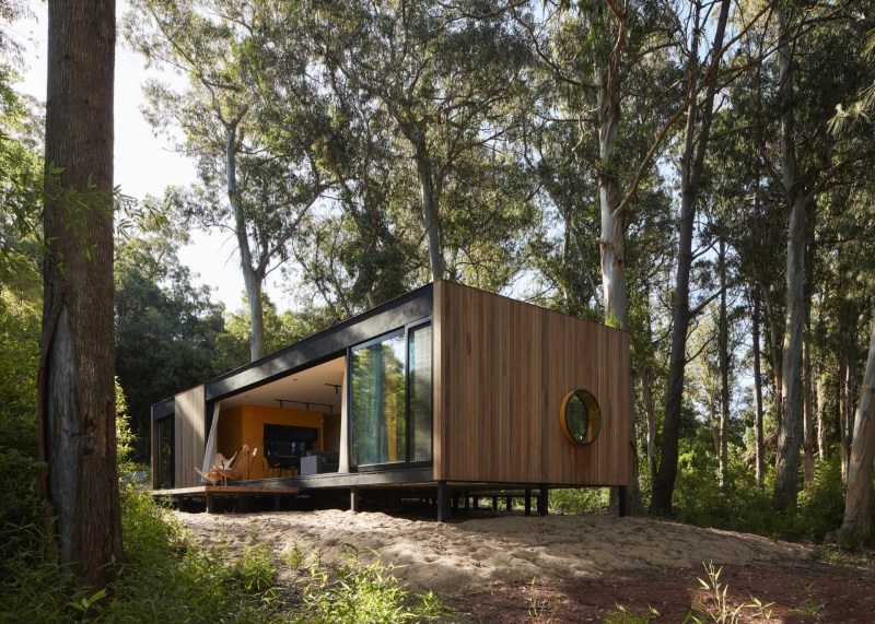 Inside a Small Forest Home that blends Mid-Century Style with Nature