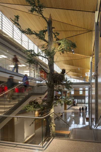 Alaska State Library Archives Museum | Hacker Architects