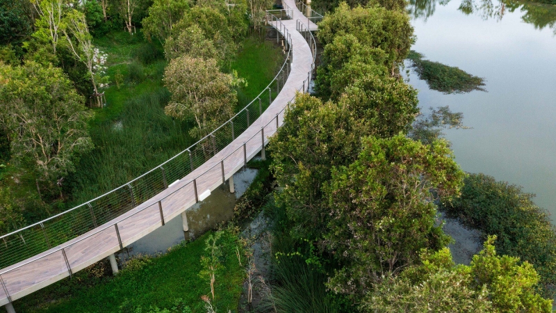 Center of Excellence for Forest Conservation | Architects 49