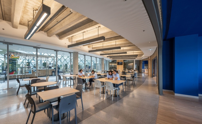 Center of Excellence for Forest Conservation | Architects 49