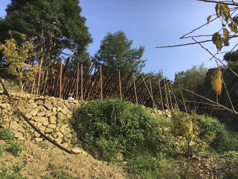 Clear Water Tea House | Behet Bondzio Lin Architekten