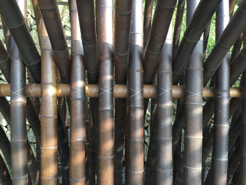 Clear Water Tea House | Behet Bondzio Lin Architekten