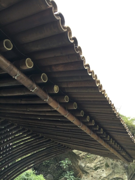 Clear Water Tea House | Behet Bondzio Lin Architekten