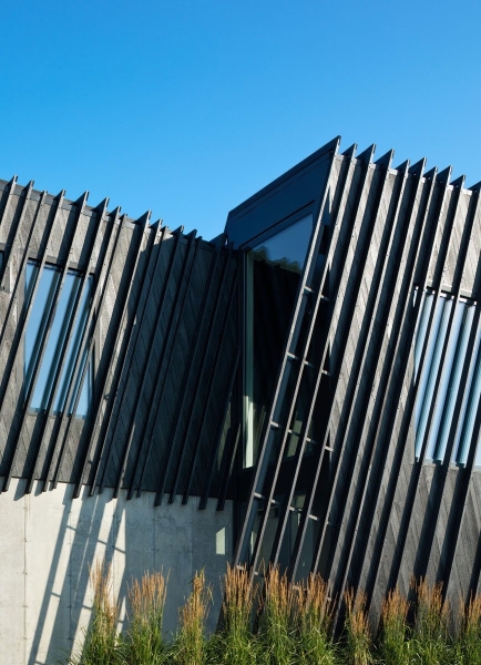 From farmland to high design: Inside the Shou Sugi Ban house made for art lovers