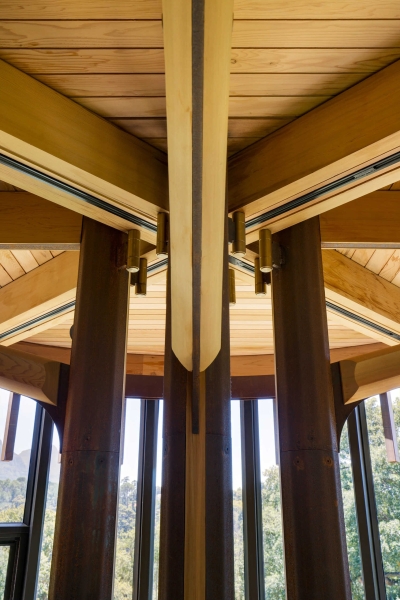 Inside a Forest Cabin Home That Rises Among the Trees