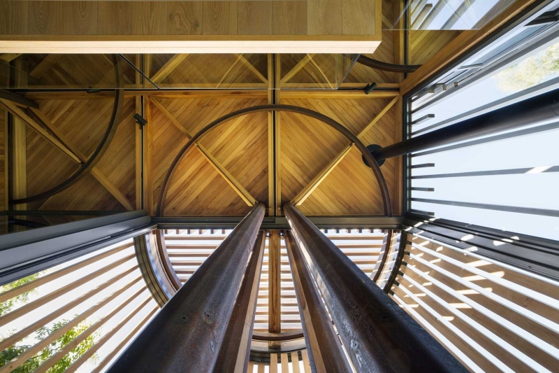 Inside a Forest Cabin Home That Rises Among the Trees