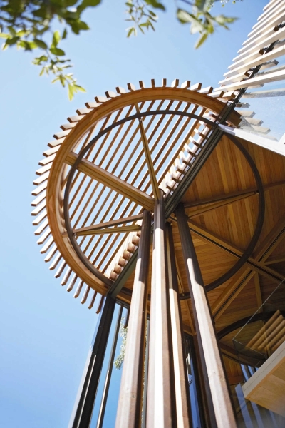 Inside a Forest Cabin Home That Rises Among the Trees