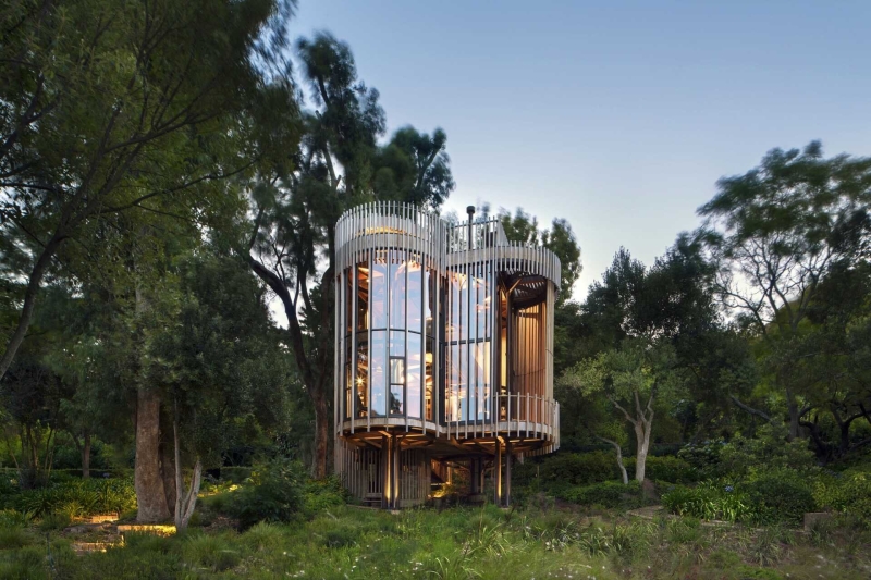 Inside a Forest Cabin Home That Rises Among the Trees