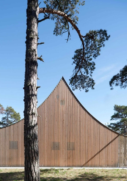 Is this the world’s most stylish tent? Inside the cedar house perched above the Baltic Sea
