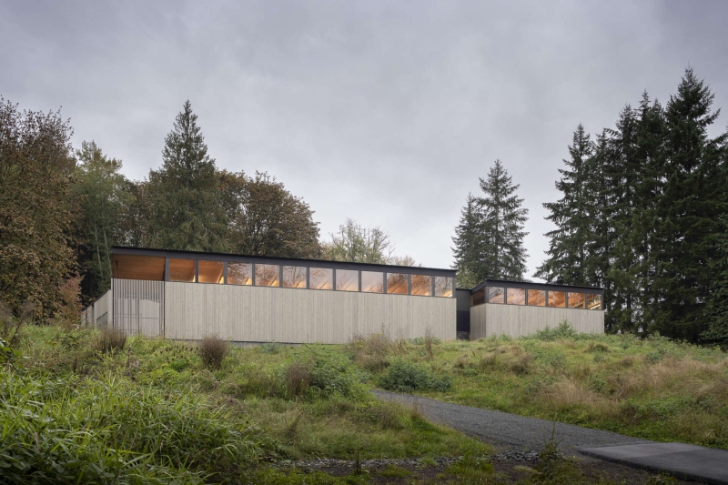 Secret garden revealed at the heart of this home