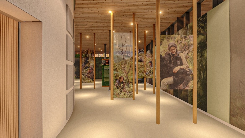 The Ellen DeGeneres Campus of the Fossey Gorilla Fund | MASS Design Group