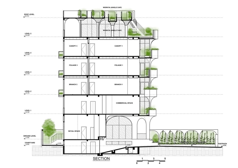 The Jungle Residence | ROOM+ Design & Build