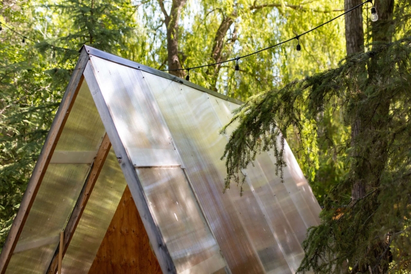 The Tiny Treehouse That’s Also a Bird Sanctuary