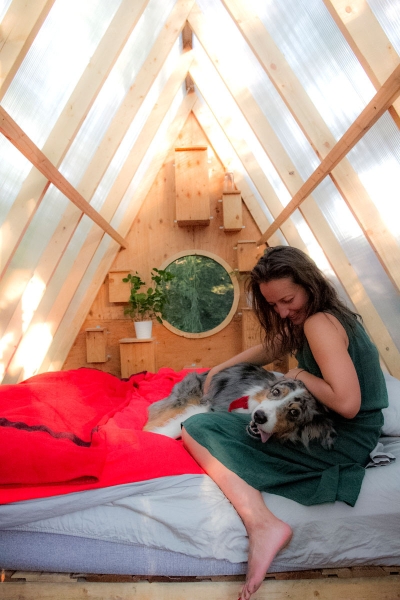 The Tiny Treehouse That’s Also a Bird Sanctuary