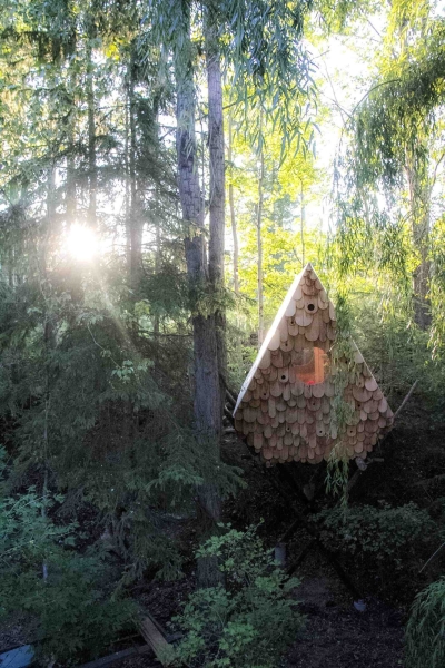 The Tiny Treehouse That’s Also a Bird Sanctuary