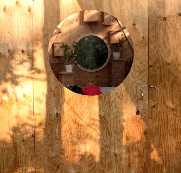 The Tiny Treehouse That’s Also a Bird Sanctuary