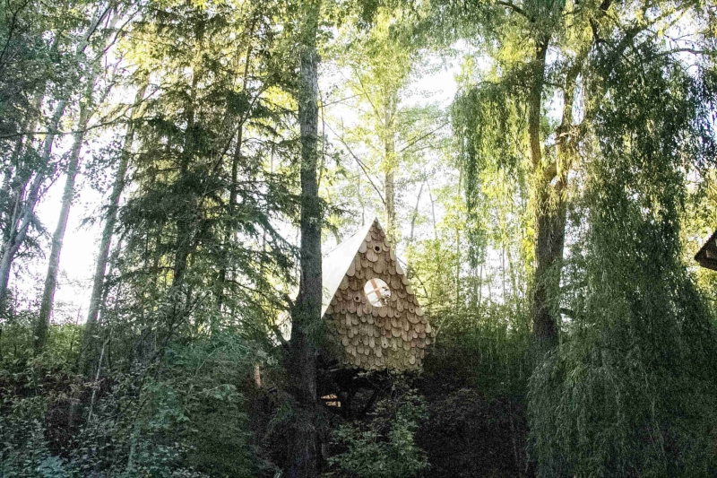 The Tiny Treehouse That’s Also a Bird Sanctuary